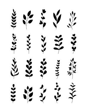 Dal, senin için botanik siluet el çizimleri organik dekorasyon ve doğal çiçek unsurları yaratıcı doğa tasarım projelerinde ilham kaynağı.