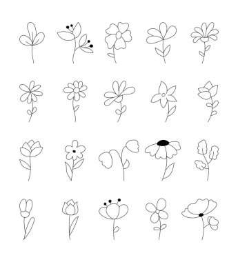 Çiçek taslak sanat seti, doğal dekoratif bitkiler ve çizimleriniz için büyüleyici botanik elementler, yaratıcı tasarım projeleri ve doğadan esinlenen kompozisyonları gevşetmek.