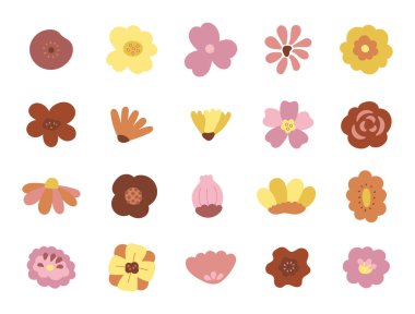 Çiçek İskandinav tarzı set, doğal dekoratif bitkiler ve çizimleriniz için büyüleyici botanik elementler, yaratıcı tasarım projeleri ve doğadan esinlenen kompozisyonlar