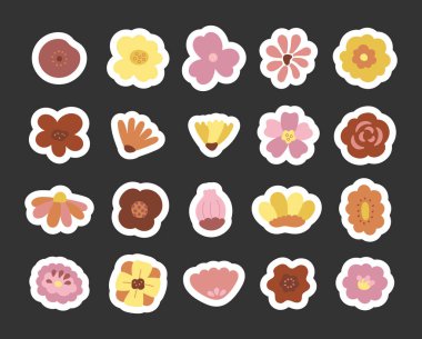 Çiçek İskandinav tarzı set, doğal dekoratif bitkiler ve çizimleriniz için büyüleyici botanik elementler, yaratıcı tasarım projeleri ve doğadan esinlenen kompozisyonlar