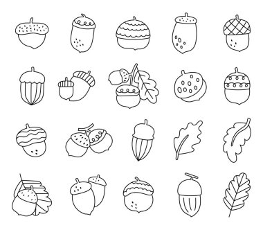 Hoş meşe palamudu ve meşe yapraklarıyla ana hatlarıyla çizilmiş sonbahar çizgi filmi mevsimlik dekorasyonlar ve illüstrasyon ve yaratıcı tasarım projeleriniz için orman ağaçlarından düşüyor.