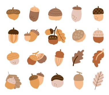 Hoş meşe palamudu ve meşe yapraklarıyla İskandinav tarzında çizilmiş sonbahar çizgi filmi mevsimlik dekorasyonlar ve illüstrasyon ve yaratıcı tasarım projeleriniz için orman ağaçlarından düşüyor.