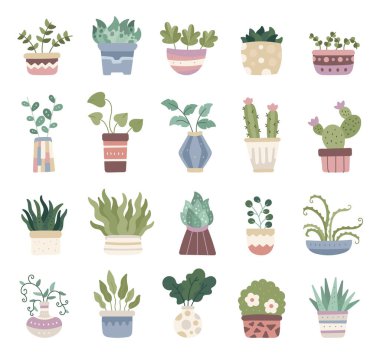 Resimleriniz, doğal konforlu mekanlarınız, huzurlu ev atmosferiniz ve yaratıcı tasarım projeleriniz için botanik iç dekorasyonlu İskandinav tarzı ev bitkisi seti.