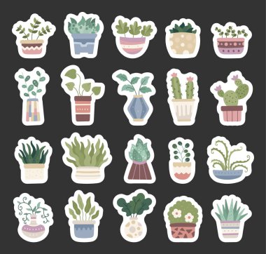 Resimleriniz, doğal konforlu mekanlarınız, huzurlu ev atmosferiniz ve yaratıcı tasarım projeleriniz için botanik iç dekorasyonlu İskandinav tarzı ev bitkisi seti.