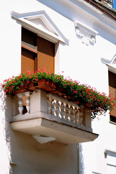 Almanya sokaklarında güzel Avrupa balkonları