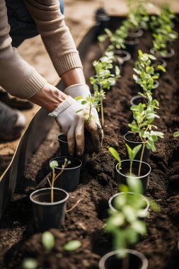 Sürdürülebilir Gelecek İçin Ağaç Dikme: Topluluk Bahçesi ve Çevre Koruma - Dünya Günü 'nde Habitat Yenileme ve Toplumsal İlişkilerin Desteklenmesi