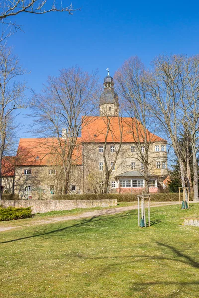ปราสาทประว ศาสตร และสวนสาธารณะใน Schochwitz เยอรมน — ภาพถ่ายสต็อก