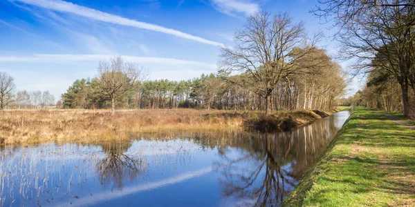 Панорама Невеличкого Ставка Області Природи Дрентс Фріз Голд Нідерланди — стокове фото