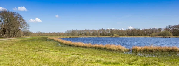 Panorama Small Lake Drenthe Orvelte Netherlands — Stock Photo, Image