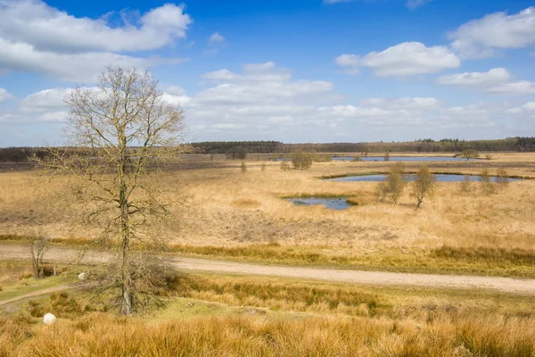 Uitzicht Vanaf Heuvel Natuurgebied Duurswouderheide Nederland — Stockfoto