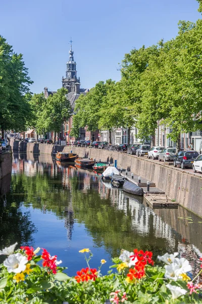 オランダ グダの中心部の運河に咲く花 — ストック写真