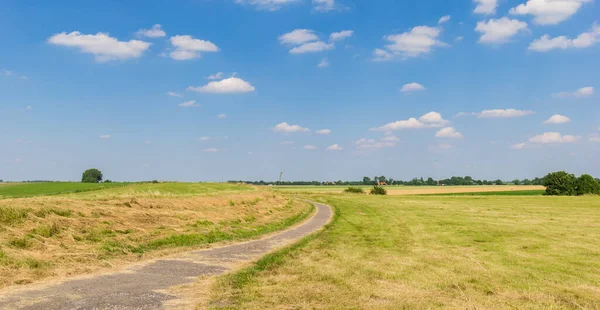 Panorama Bicycle Path Landscape Nieuwe Statenzijl Netherlands — Stock Photo, Image