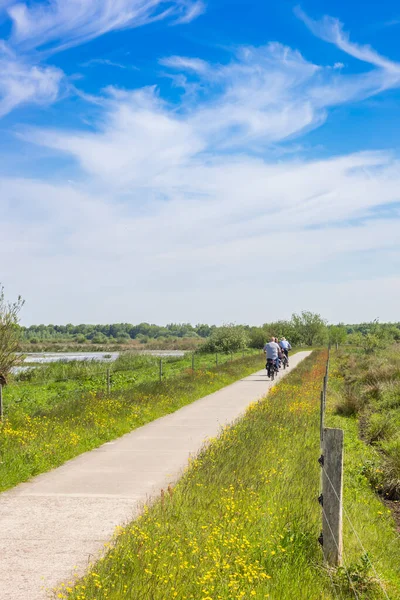 People Bicycles Nature Reserve Westerbroekstermade Groningen Netherlands — Stock Photo, Image