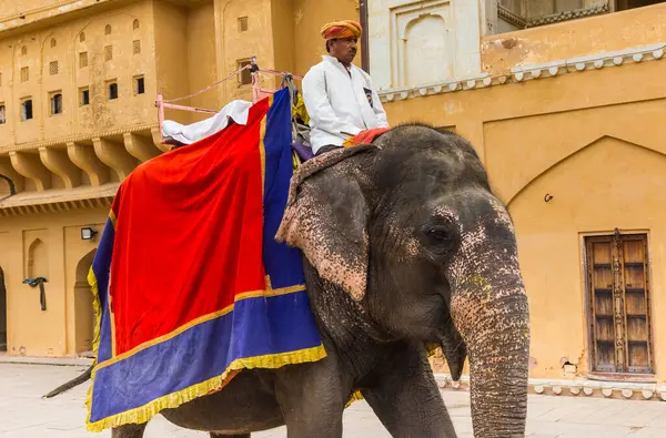 stock image Indian man riding an elephant at the Amber Fort in Jaipur, India