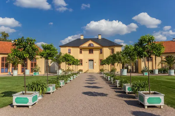 stock image Little trees in the garden of castle Belvedere in Weimar, Germany