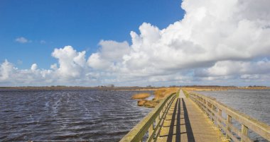 Panorama of the wooden bridge over the lakes in Roegwold, Netherlands clipart