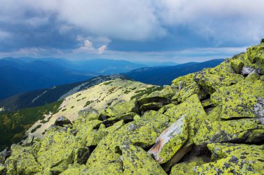 Dağların tepeleri taşlarla kaplı. Doğu Karpatlar, Ukrayna.