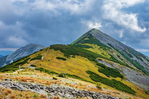 Montaña Cubierta Piedras Cárpatos Orientales Ucrania — Foto de Stock