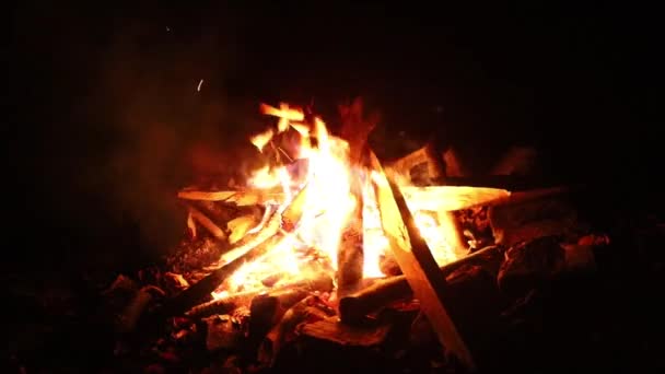 Bonfire Près Tente Dans Les Bois Nuit — Video