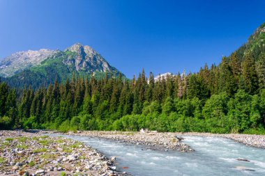 A fast and powerful river flows in a valley in the Caucasus mountains.