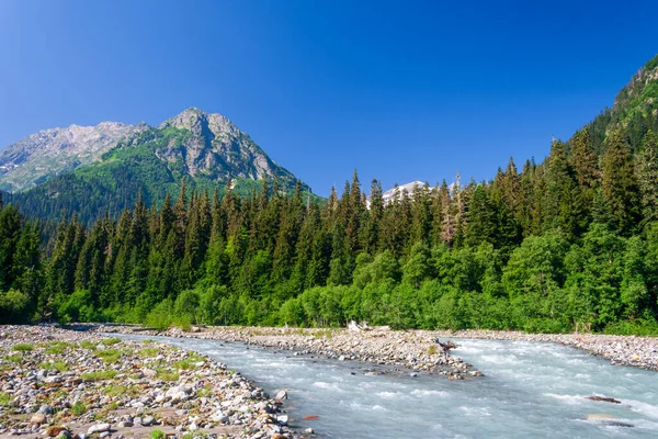 Fast Powerful River Flows Valley Caucasus Mountains 로열티 프리 스톡 사진