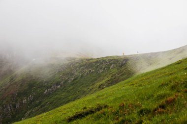 Yazın Karpatlar 'ın yamaçlarında sis ve bulutlar. Ukrayna.