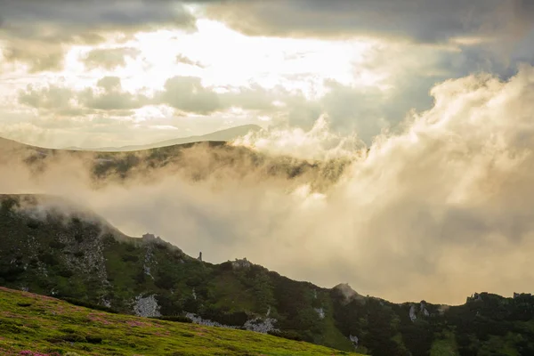Туман Хмари Над Схилами Карпат Влітку Україні Стокове Зображення