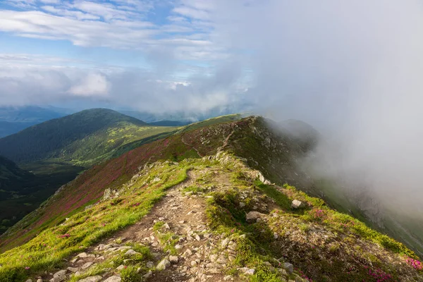 喀尔巴阡山脉斜坡上的雾气和云彩 乌克兰 图库照片