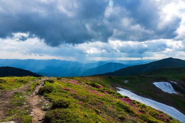 Yazın Karpatlar 'ın yamaçlarında sis ve bulutlar. Ukrayna.