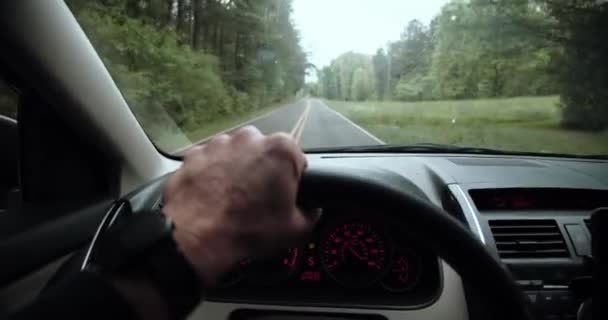 Мужчина Водит Машину Заросшей Сельской Дороге Через Зеленый Лесной Водитель — стоковое видео