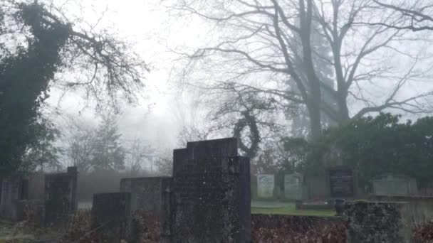 秋天的一天 有古老墓碑的古老的薄雾坟场 万圣节现场 — 图库视频影像