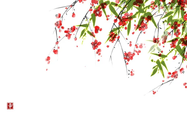 Zelené Bambusové Listy Sakura Květy Bílém Pozadí Tradiční Orientální Kresba — Stockový vektor