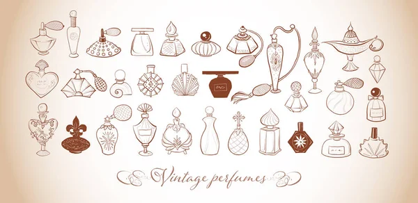 Colección Frascos Perfume Vintage Doodle Dibujo Vectorial Ilustración — Archivo Imágenes Vectoriales