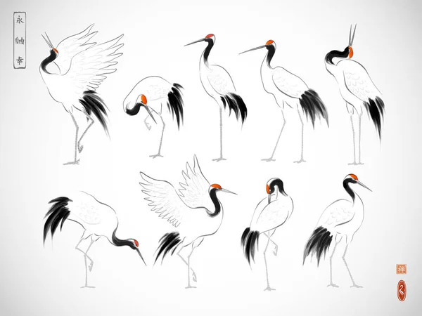 Japoński Czerwono Koronowany Żuraw Ptaków Orientalnym Stylu Białym Tle Tradycyjne — Wektor stockowy