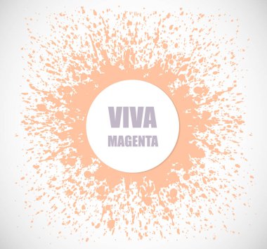 2024 yılının rengi. Şeftali beyaz arka plana sıçrar. 2024 eğilim ilham kaynağı.