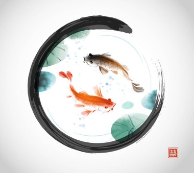 Siyah enso zen daire şeklinde siyah ve kırmızı koi sazanları Japon su yaşamının klasik bir sahnesi. Geleneksel Japon mürekkep boyası sumi-e.