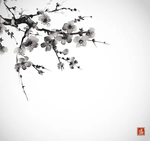 Minimalistická Sumi Malba Sakura Větví Jemnými Třešňovými Květy Malovanými Černým Royalty Free Stock Ilustrace