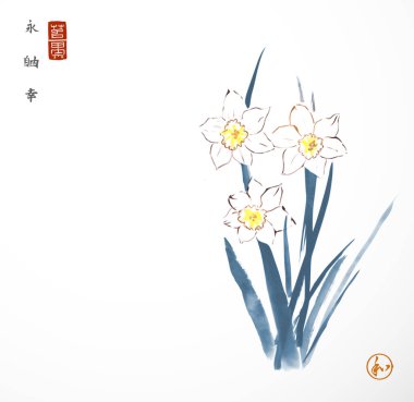 Narin mavi nergislerin mürekkep boyası. Geleneksel oryantal mürekkep boyası sumi-e, u-sin, go-hua. Hiyeroglifler - sonsuzluk, özgürlük, mutluluk, uyum.