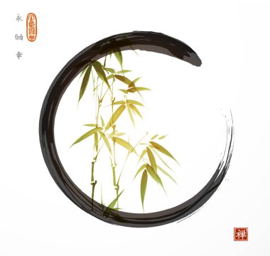 Beyaz arka planda siyah enso zen çemberli yeşil bambu. Geleneksel Japon mürekkep boyası sumi-e hiyeroglifler - sonsuzluk, özgürlük, mutluluk, zen.