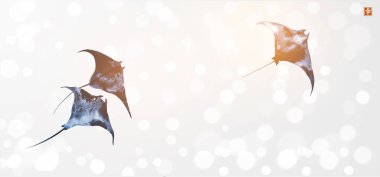 Beyaz ışıldayan arka planda üç manta vatozu. Minimalist sumi-e resim. Hiyeroglif- mutluluk