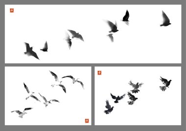 Beyaz arka planda uçan çeşitli kuşların üç mürekkep yıkama tablosu. Geleneksel oryantal mürekkep boyası sumi-e, u-sin, go-hua. Hiyeroglif- mutluluk