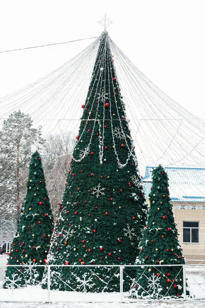 New Year\'s trees, beautifully green decorated with balls and lights, stand in the city center during the day in snowy weather, creating a festive mood for residents