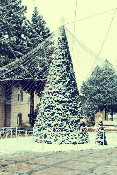 New Year\'s trees, beautifully decorated with balls and lights, stand in the city center during the day in snowy weather, creating a festive mood for residents