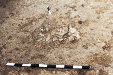 Arkeolojik kazılar, arkeologlar antik bir kil eserini kazıyorlar. Cetveller, çalışma boyutunu ve bulunan ögeleri gösterir