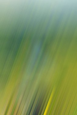 Abstract background, vertical multicolored stripes of green - yellow scale with a slope in to left and blur in the middle