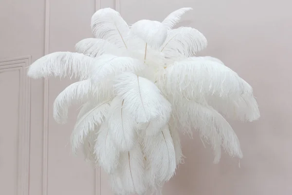 羽のセットは 大きな白とふわふわの美しいインテリアの詳細として部屋の無重力でハング — ストック写真