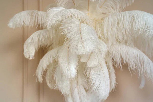 大きな羽のセットは 大きな白とふわふわの美しいインテリアの詳細として部屋の無重力でハング — ストック写真