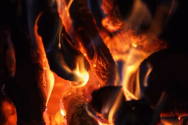 Bright fire of high temperature from natural firewood burns in fireplace, beauty background
