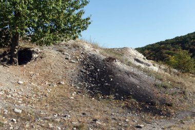 Bitkilerle dolu kayalık tepe arazisi, orman arka planı, doğa