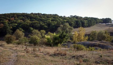 Landscape of hilly autumn forest with deciduous trees, which have leaves of different autumn shades clipart